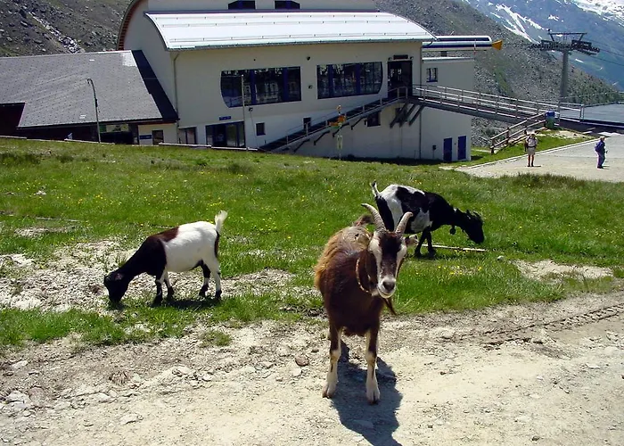 Haus Erle アパート ザース・グルント