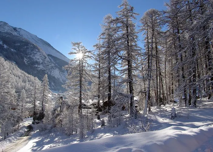 Haus Erle ザース・グルント