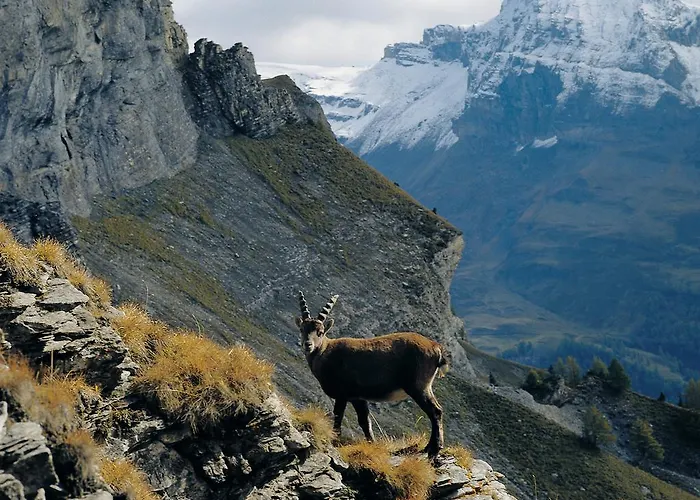 アパート Haus Erle ザース・グルント