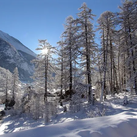 Haus Erle Saas-Grund